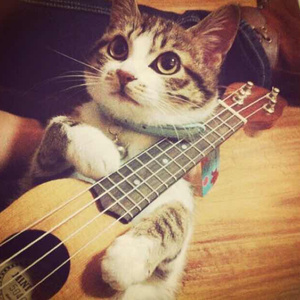 用舌头去添女人荫蒂视频
